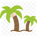 Palm Tree Palm Coconut Icon