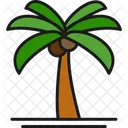 Palm Tree  Icon