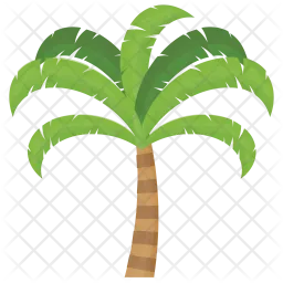 Palm Tree  Icon