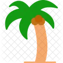 Palm Tree Palm Tree Icon