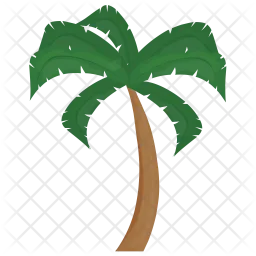 Palm Tree  Icon