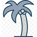 Palm Tree Palm Tree Icon