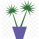 Palm Tree Tropical Tree Beach Tree Icon