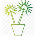 Palm Tree Tropical Tree Beach Tree Icon