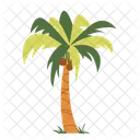 Palm Tree Beach Tree Icon