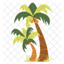 Palm Tree Beach Tree Icon