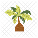 Palm Tree Beach Tree Icon