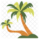 Palm Tree Beach Tree Icon