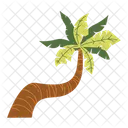 Palm Tree Beach Tree Icon