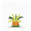 Palm Tree Beach Tree Icon