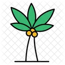 Palm tree  Icon