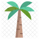 Palm Tree Tree Nature Icon