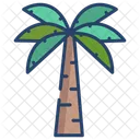 Palm Tree Tree Nature Icon
