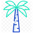 Palm Tree Tree Nature Icon