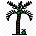 Palm Tree Palm Tree Icon