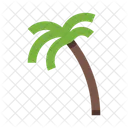 Palm Icon
