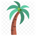 Palm Tree Icon