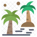 Palm Tree  Icon