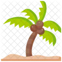 Palm Tree  Icon