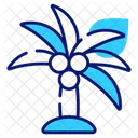 Palm Coconut Tree Icon