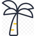 Palm Tree  Icon