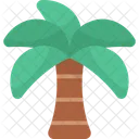 Palm tree  Icon
