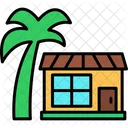 Palm Tree Palm Tree Icon