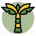 Palm tree  Icon