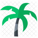 Palm Tree Palms  Icon
