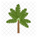 Palm Summer Leaf Icon