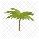 Palm Summer Leaf Icon