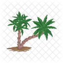 Palm Tree Icon