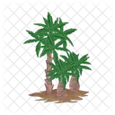 Palm Tree Icon