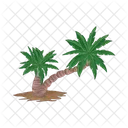 Palm Tree Icon