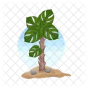 Palm Tree Icon