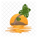 Palm Tree Icon