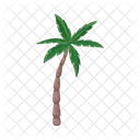 Palm Tree Icon