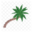 Palm Tree Icon