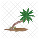Palm Tree Icon