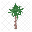 Palm Tree Icon