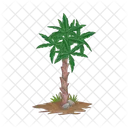Palm Tree Icon