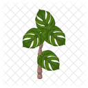 Palm Tree Icon