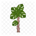 Palm Tree Icon
