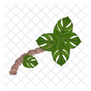 Palm Tree Icon