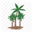 Palm Tree Icon