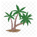 Palm Tree Icon