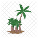 Palm Tree Icon