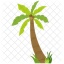 Palm tree with coconut  Icon