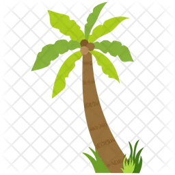 Palm tree with coconut  Icon