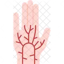 Palm Vein  Icon